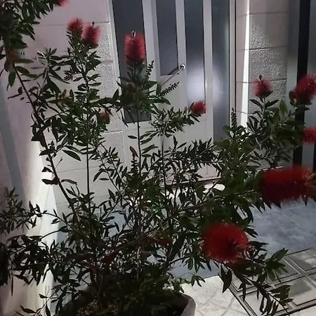 Ana, 2 Apartment
