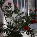 Ana, 2 Apartment